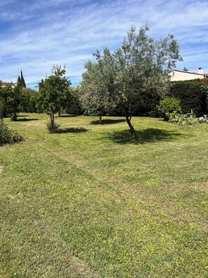 Terrain de l’hébergement 