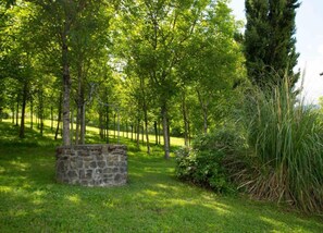 House | View from property - Farmhouse in Tuscany With Pool & Valley Views (Poppi)