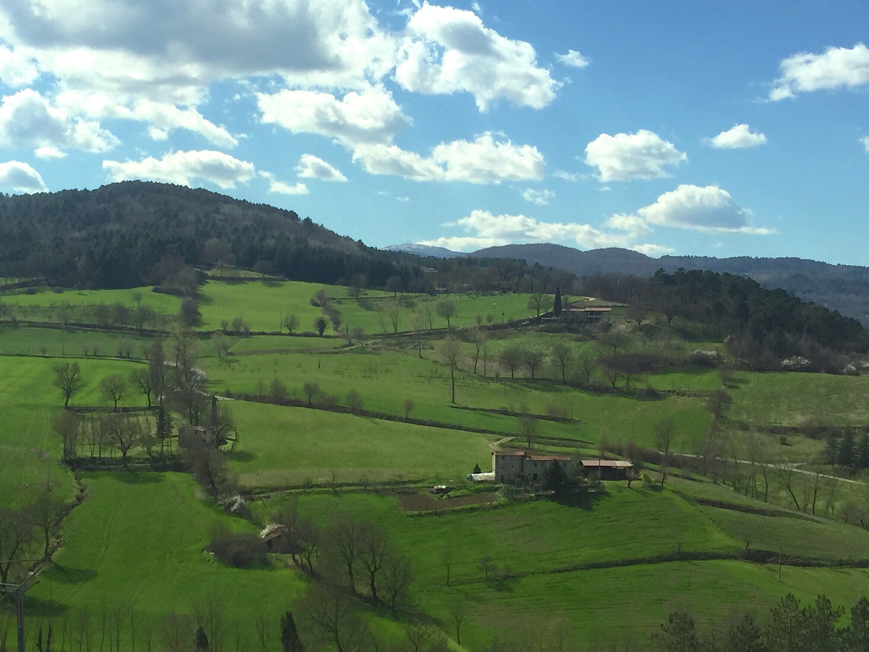 A rural landscape with rolling green fields, a few scattered trees, and a small building in the distance.