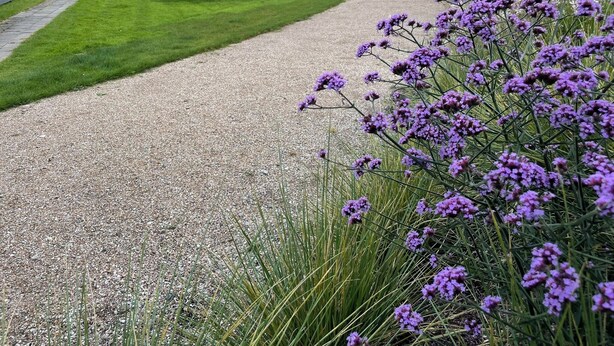 A gravel path in a residential area with houses in the background.