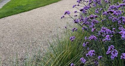 New chalet 2 on the edge of the Wadden Sea and Amstelmeer with private terrace!