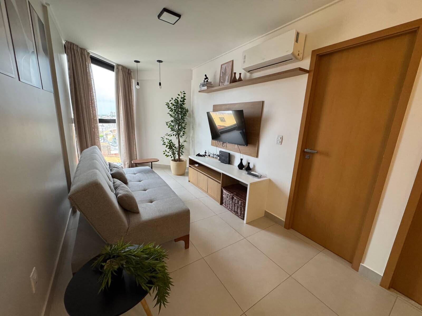 A living room with a sofa, a TV, a potted plant, and a door.
