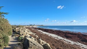 A coastal path with large rocks and sparse vegetation, leading to a beach with reddish-brown sand and a clear blue sky.