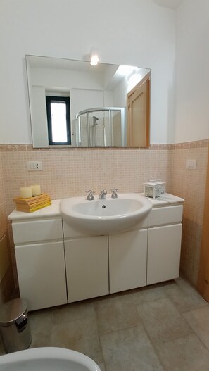 Shower, hair dryer, bidet, towels