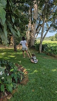 Jardín