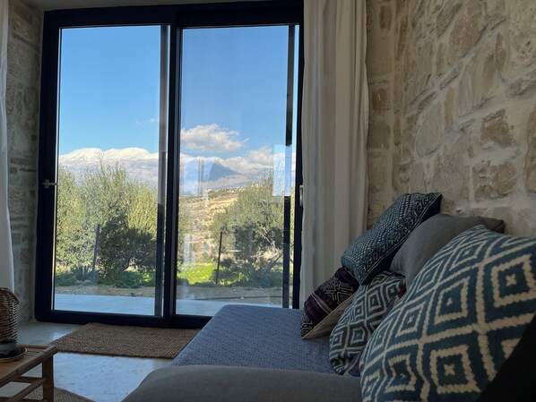 Una Smart TV, una chimenea