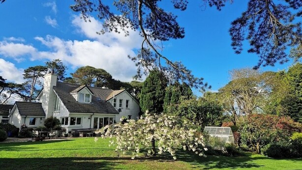 A large house with a well-maintained lawn and a flowering tree in the foreground. - Drumee Lodge (Castlewellan)