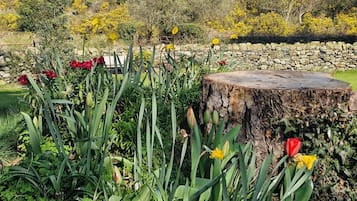 Un jardín con diversas plantas y flores, un muro de piedra y un tocón de madera.