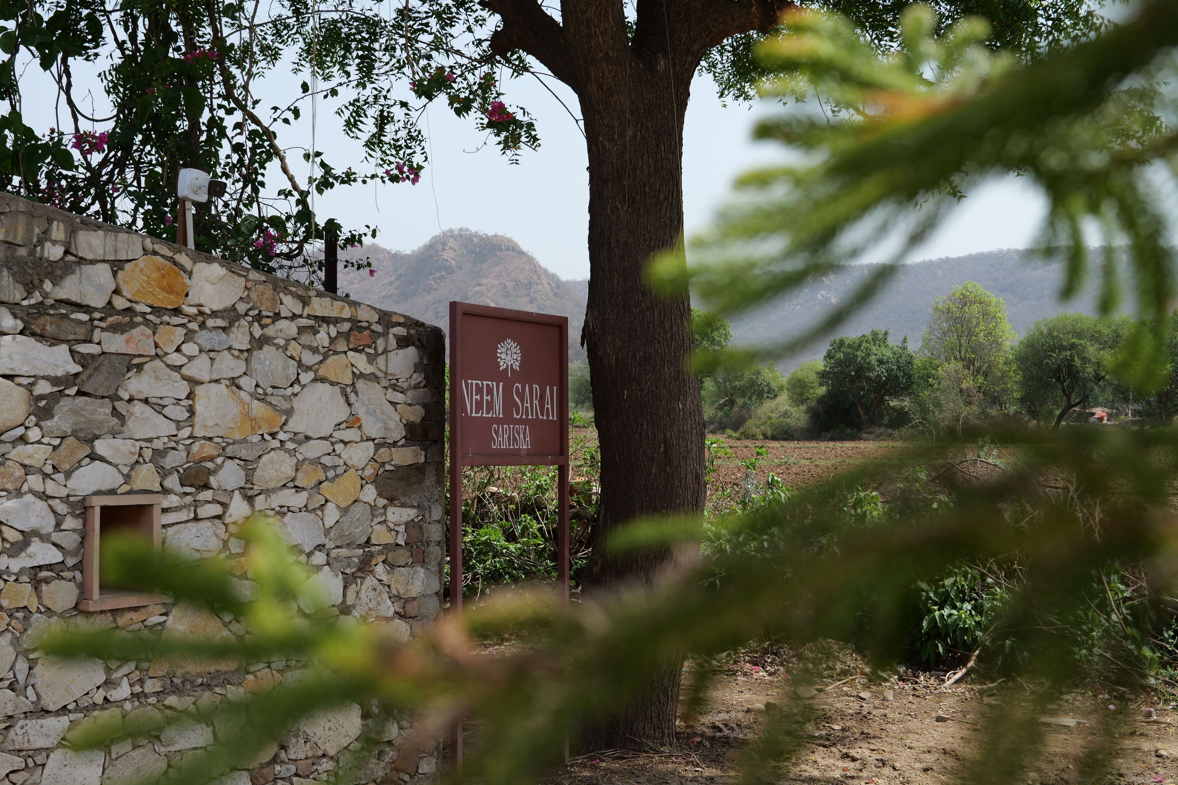 Diseño del edificio