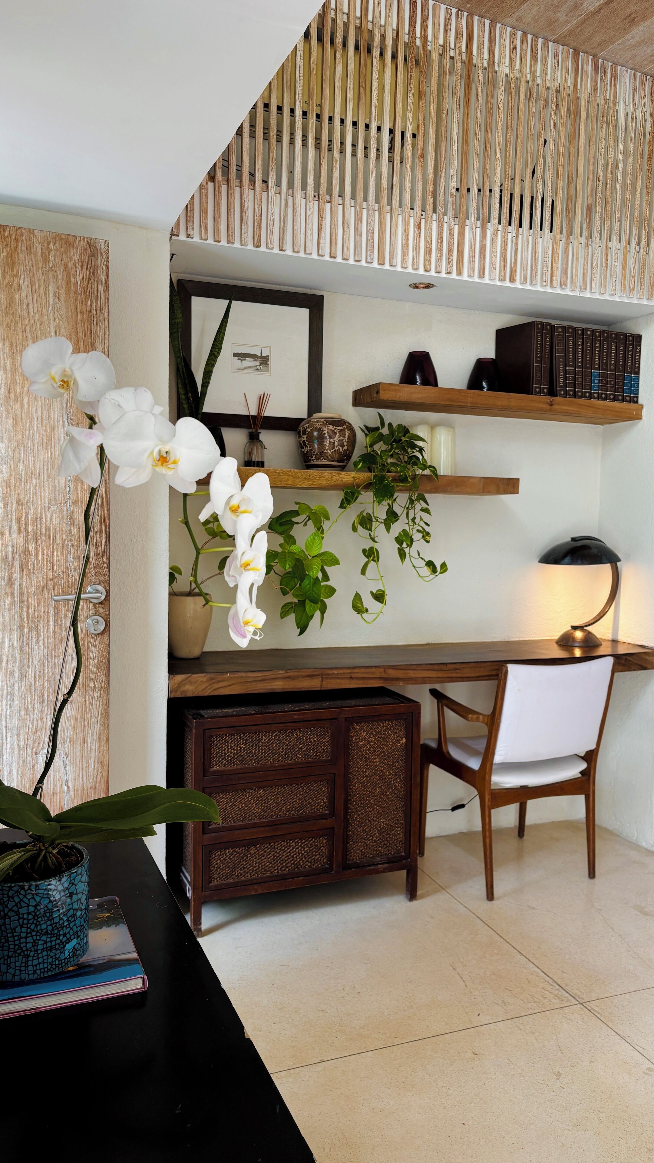 Et arbejdsområde med et skrivebord, stol, bogreol og dekorative planter.