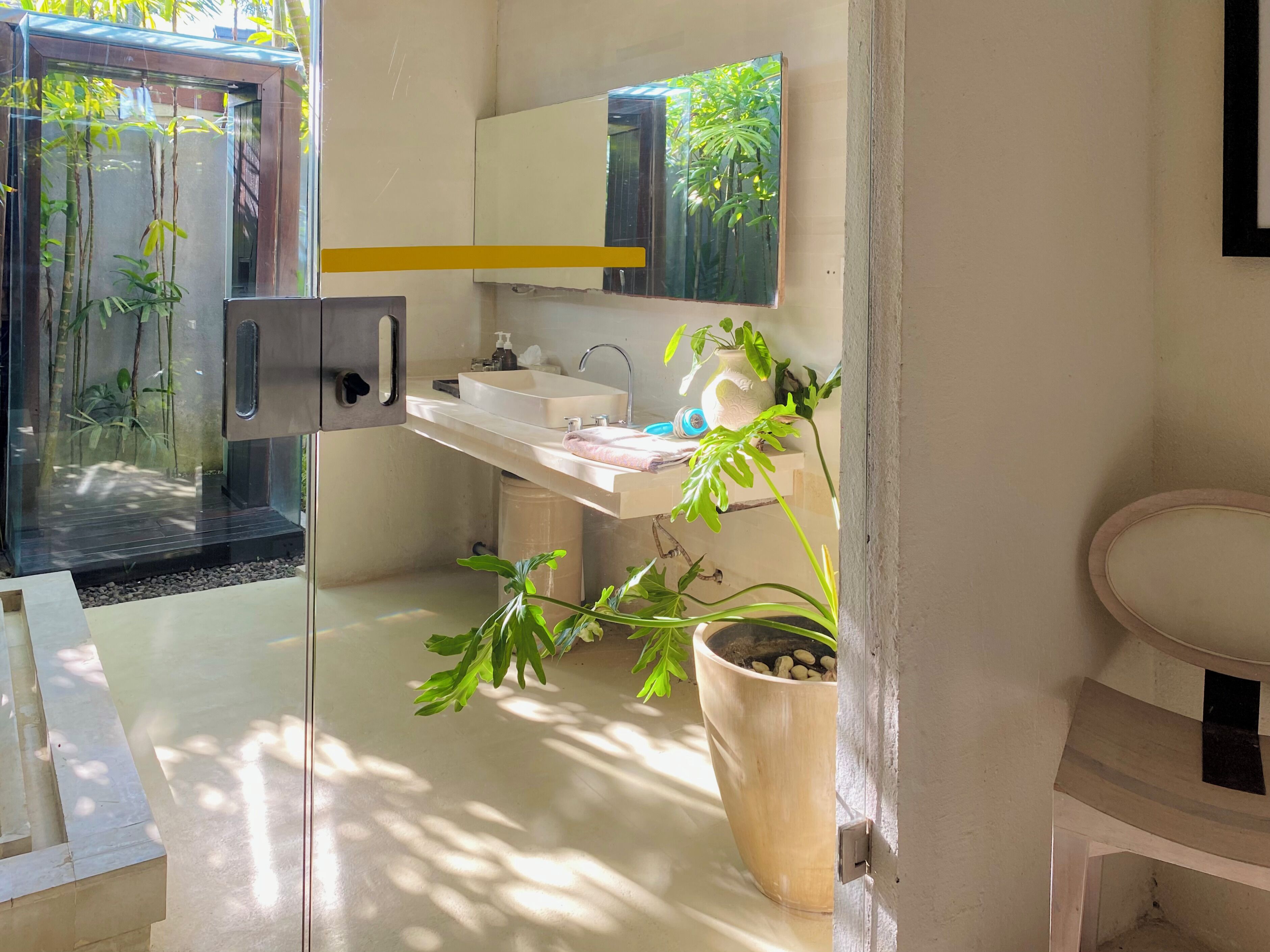 Une salle de bain moderne avec une paroi de verre, un lavabo, un miroir et une plante en pot.
