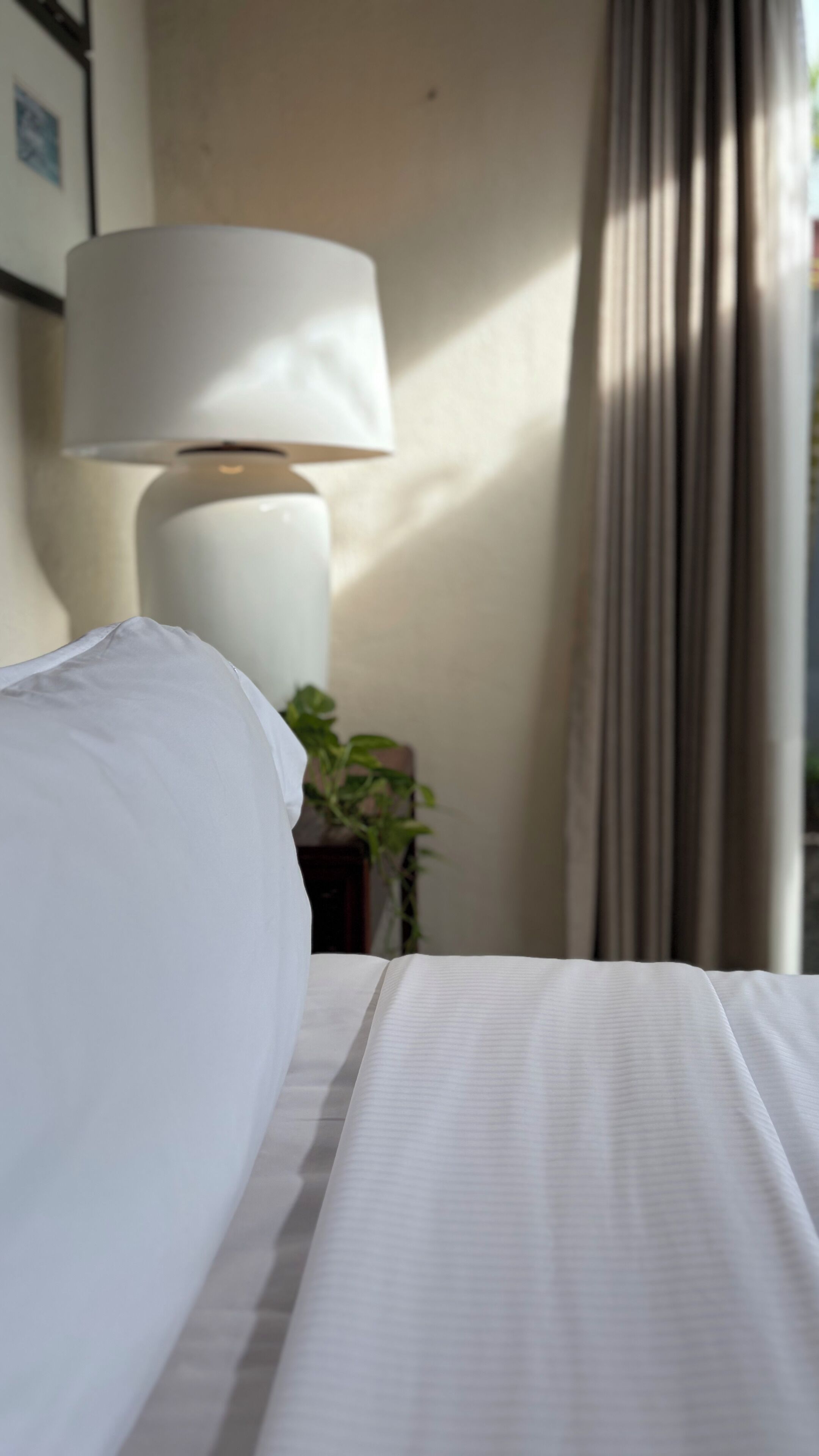 A neatly made bed with white linens, a white bedside lamp, and a plant in the background.