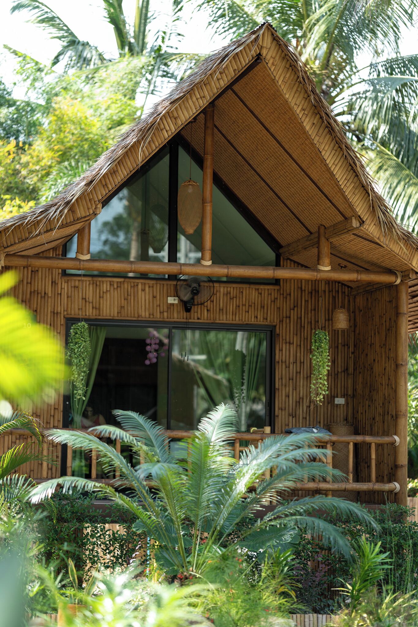 Une structure en bambou dotée d’une grande fenêtre, entourée d’une végétation luxuriante.