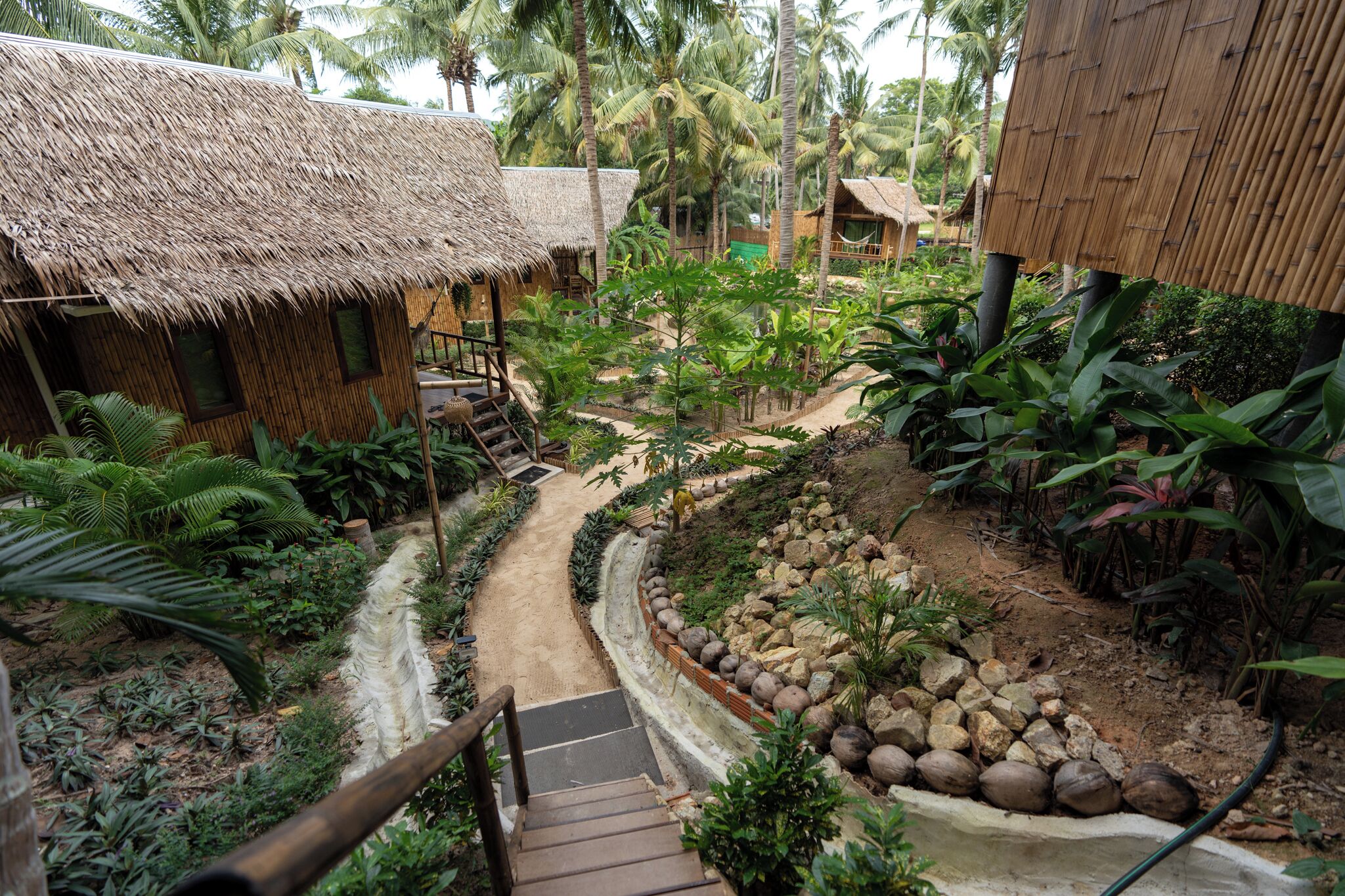 A thatched-roof structure with a staircase leading to a garden area with tropical plants and a rock-lined path.