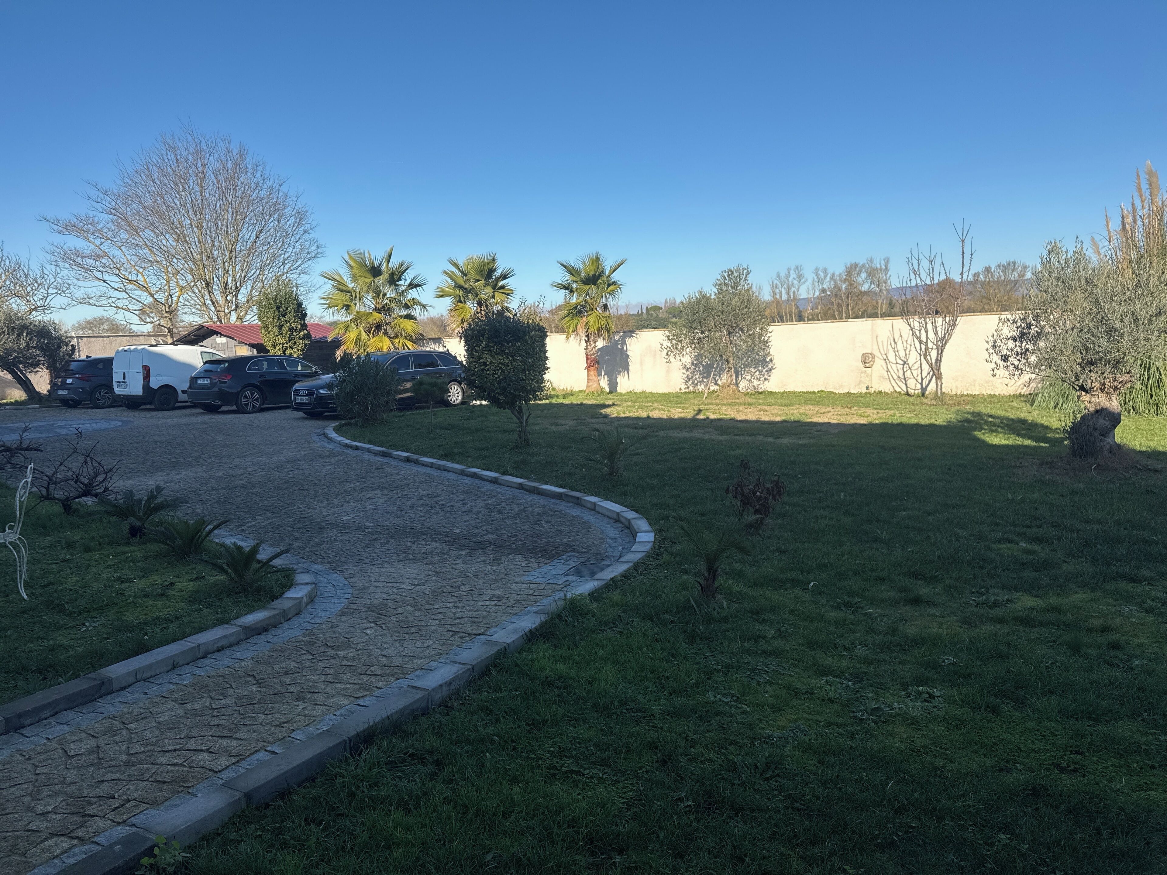 Un camino pavimentado conduce a un área de estacionamiento con varios coches y una camioneta blanca. En primer plano hay pequeños árboles y arbustos, y una pared grande al fondo.