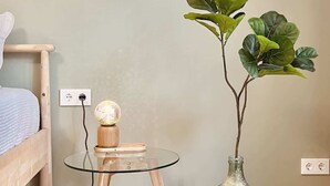 A room with a bed, a small round table with a lamp, and a large green plant in a vase.