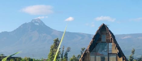 A thatched-roof hut with a glass window, surrounded by greenery and a mountain in the background.