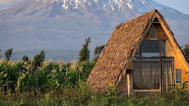 A thatched-roof hut with a single window and door, surrounded by greenery, with a snow-capped mountain in the background.