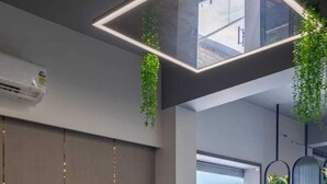 A modern reception area with a white reception desk, two grey chairs, a large window, and hanging plants.