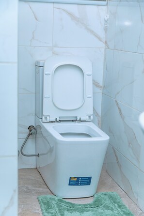 Shower, towels, soap, toilet paper