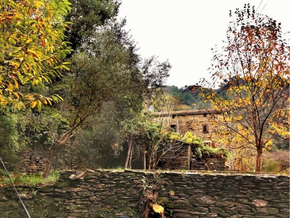 A rustic stone building with a stone wall in the foreground, surrounded by autumn foliage. - La Franquerie, stone house in the heart of the Cévennes.  (Saint-Paul-la-Coste)