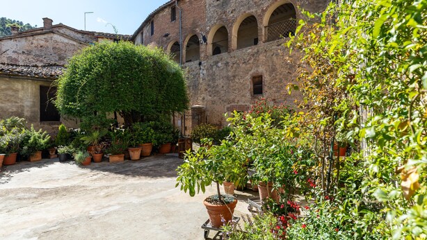 A courtyard with potted plants and a building with arched windows. - Anna's home  (Torri)
