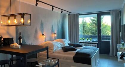 Black Forest apartment Kniebis