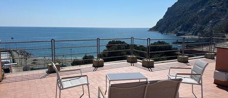 テラス / パティオ