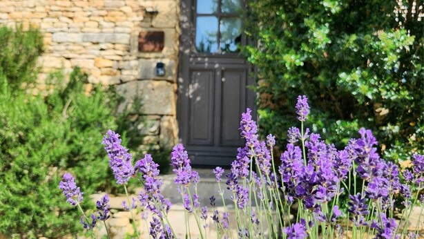 A stone building with a dark door and a garden with purple flowers in front.