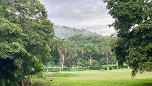 Üppige grüne Landschaft mit Teich, Bäumen und Golfplatz.