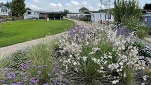 A residential area with a well-maintained lawn, a variety of flowering plants, and several mobile homes. - New chalet 1 on the edge of the Wadden Sea and Amstelmeer with private terrace! (Anna Paulowna)