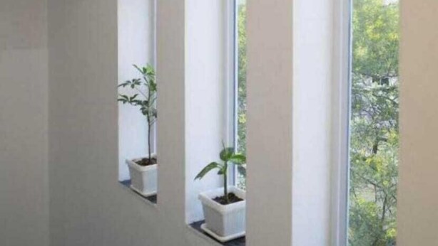 A room with three windows, each with a potted plant. - Shree Ji Kunj (Udaipur)