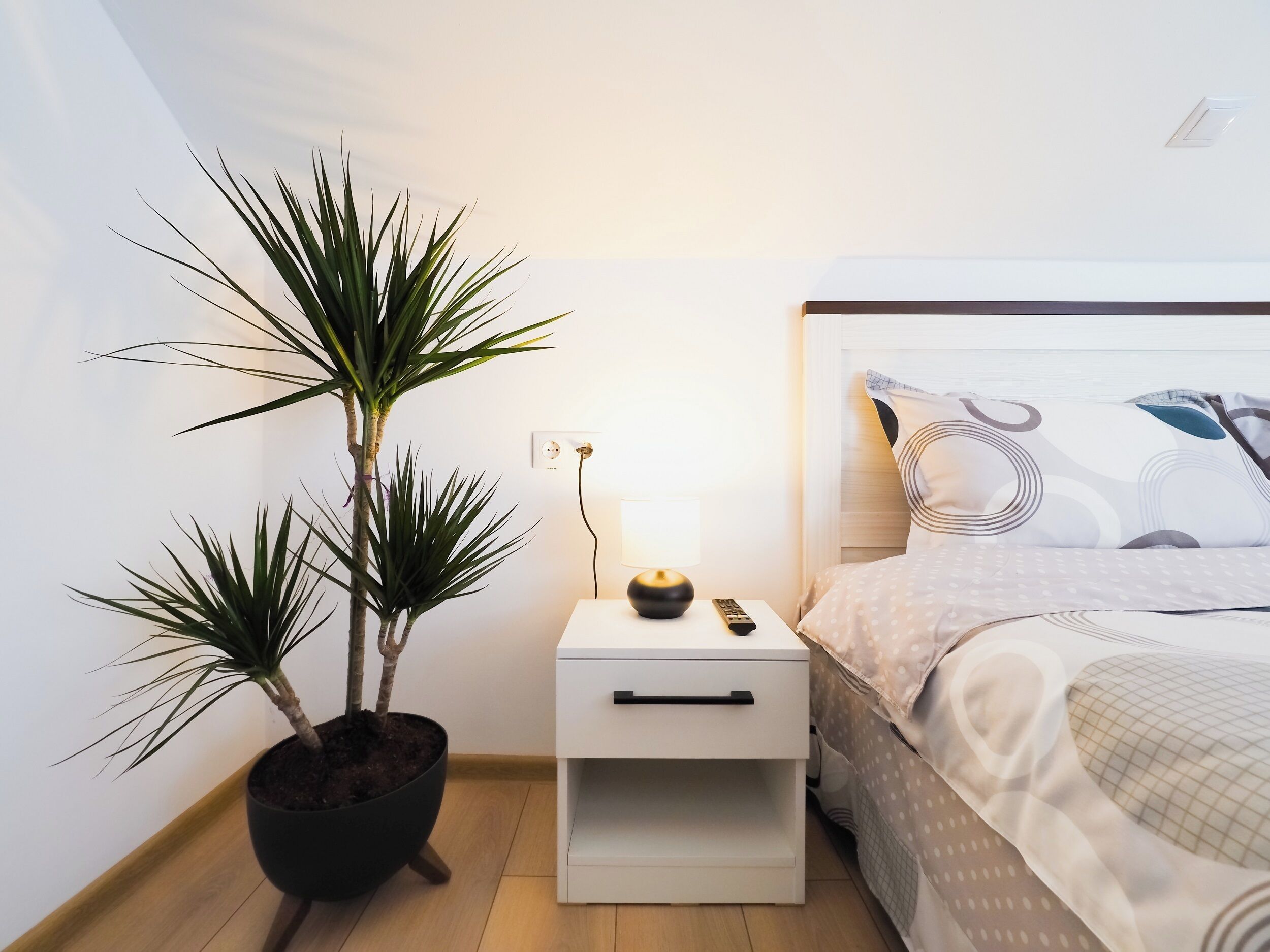 Un dormitorio con cama, mesita de noche, lámpara y una planta en maceta.
