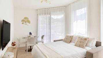 1 chambre, bureau, fer et planche à repasser, lit parapluie