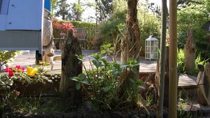 House | Property grounds