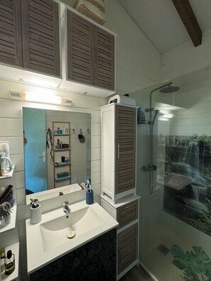 Shower, hair dryer, towels