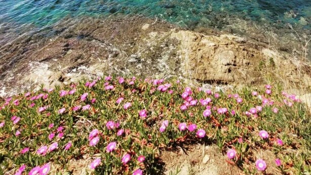 A coastal town with buildings on a hillside overlooking clear turquoise waters. - Beachfront Apartment With Terrace Views (Roses)