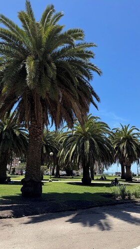 Rincón del Edén ~ Apartment in front of the casino and 1 block from the sea ☀️