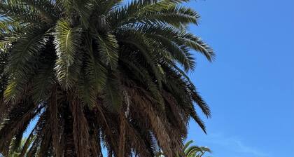 Rincón del Edén ~ Apartment in front of the casino and 1 block from the sea ☀️