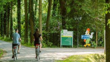 House | View from property