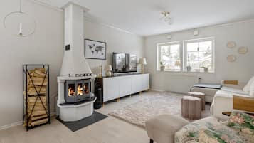 Fernseher, Kamin, DVD-Player