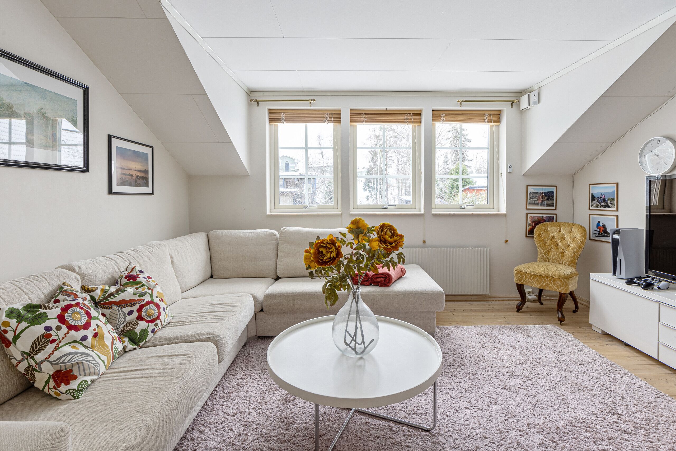 电视、壁炉、DVD 播放器