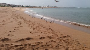 Playa