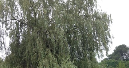 Gîte in the heart of a charming village