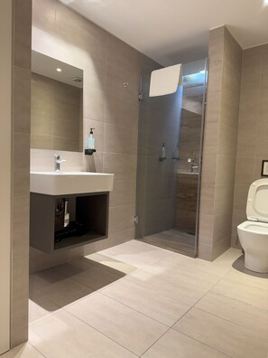 Chuveiro, secador de cabelo, toalhas de banho, sabonete