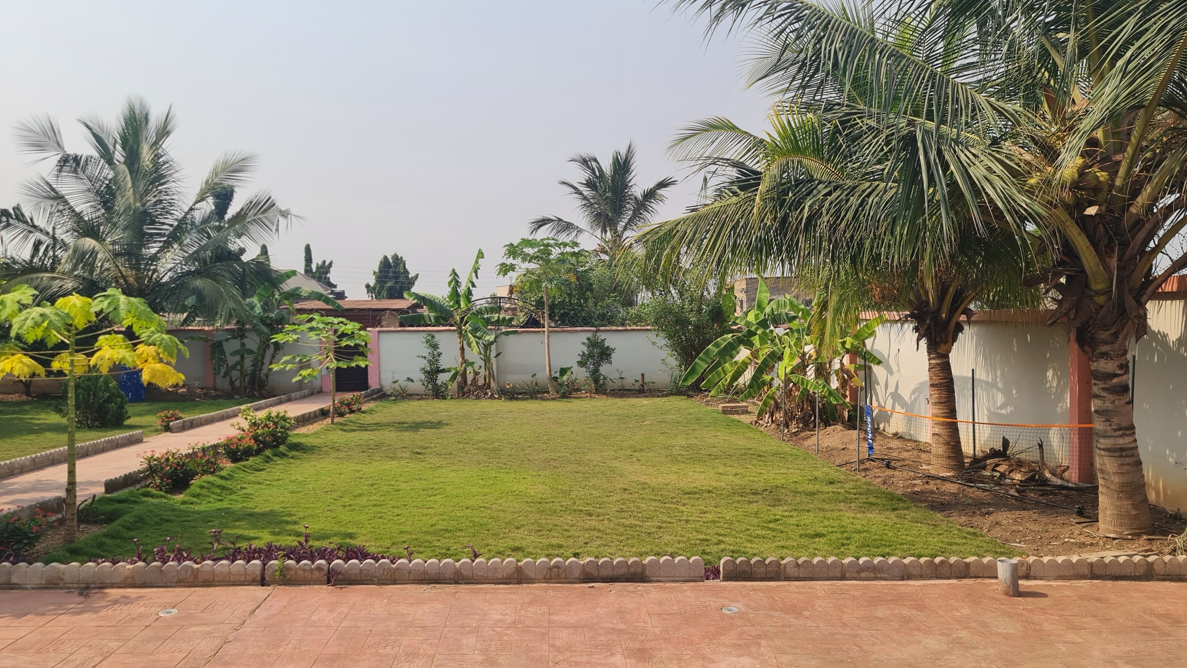 A well-maintained garden with a lawn, palm trees, and a paved walkway.