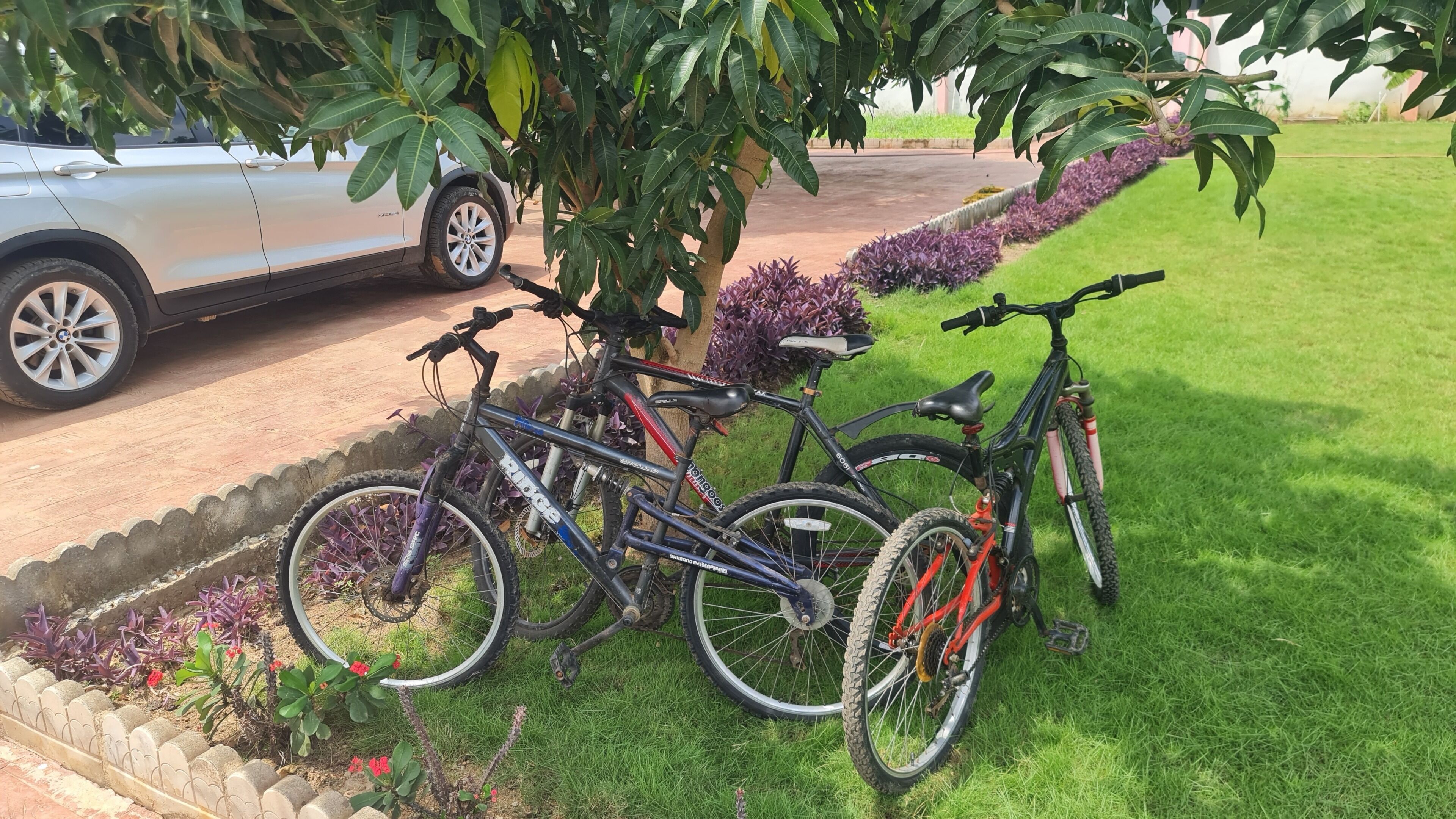 A bicycle parked near a tree and a car, with a grassy area and a flower bed in the foreground.