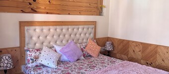 Cozy 1-bedroom apartment in serene Kullu with WiFi
