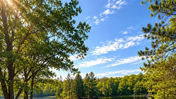 Un parc au bord du lac, doté d’un foyer, de deux bancs en bois et offrant une vue dégagée sur le lac.
