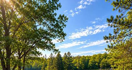 Cozy A-Frame cabin in Hayward on Chippewa Flowage, sleeps 6, RV electrical